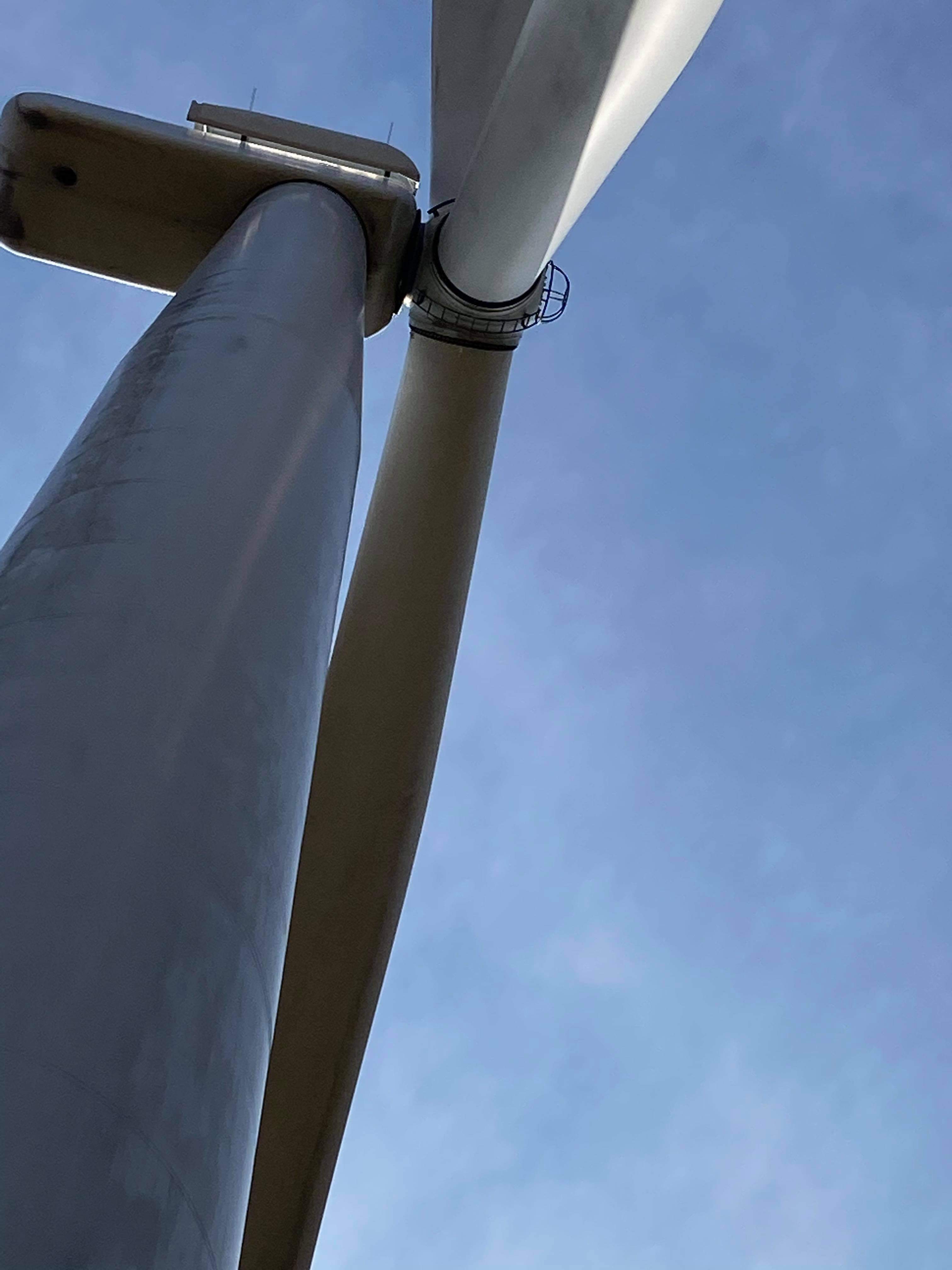 The blades of a wind turbine