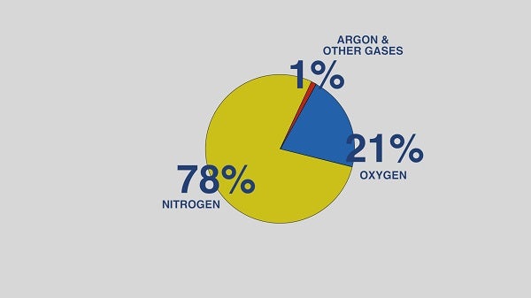 Gases within normal atmosphere