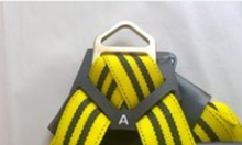 Rear 'D' (Dorsal) of safety harness