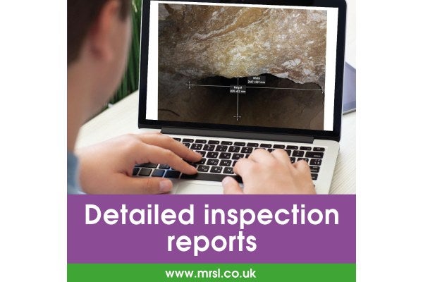 Detailed inspection reports