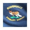 Bodringallt Primary School Logo